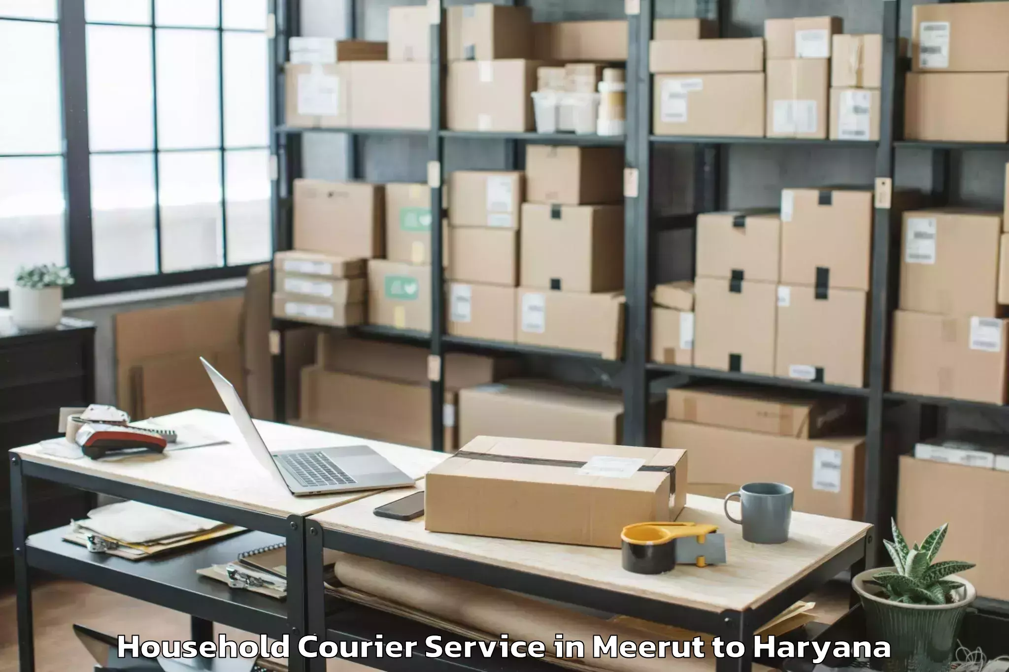 Hassle-Free Meerut to Bhuna Household Courier